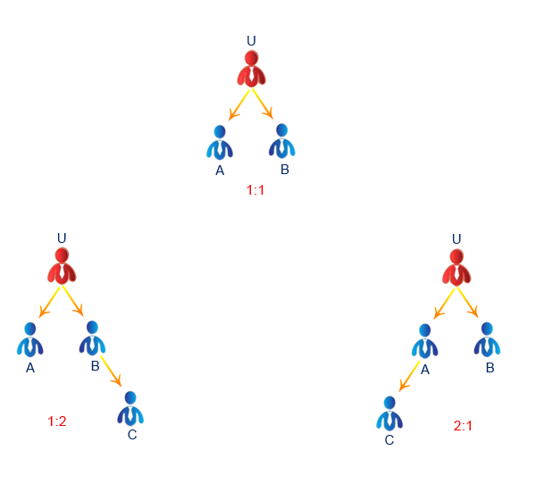 Binary Income Plan